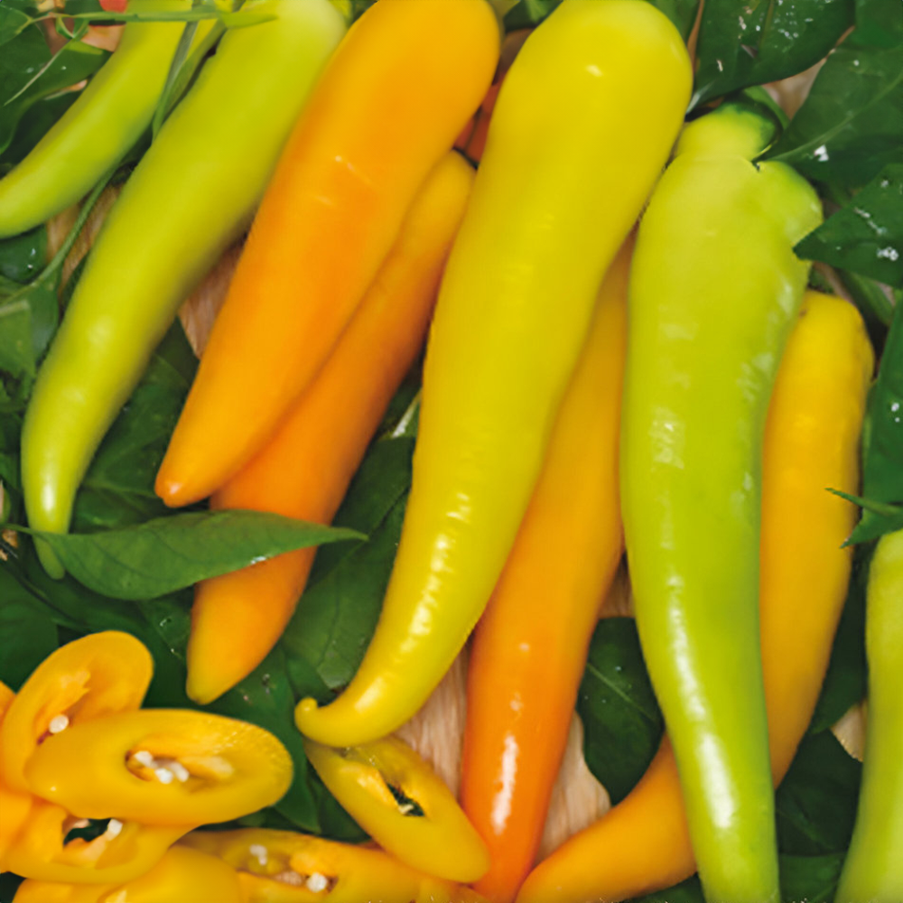 Beranní roh ostrý (2ks) - vhodný i na balkón