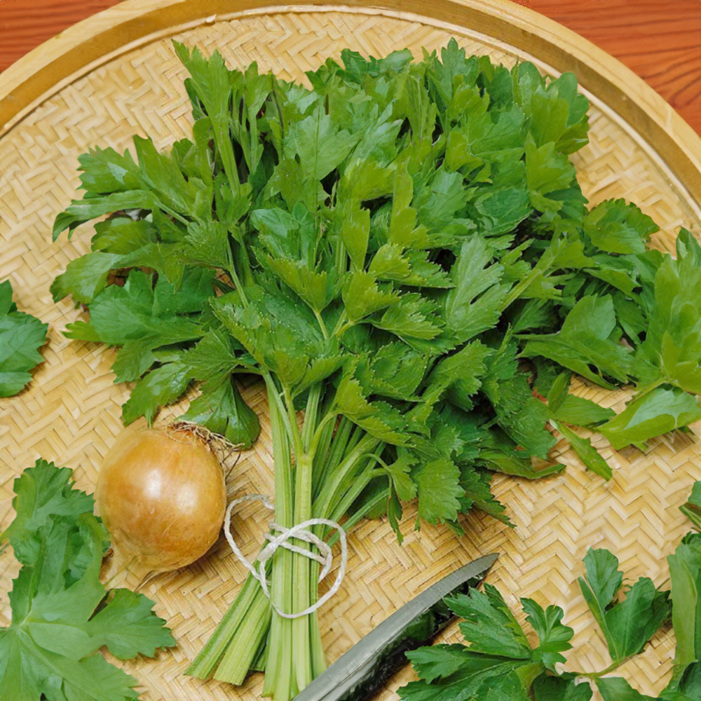 Celer naťový (listový)