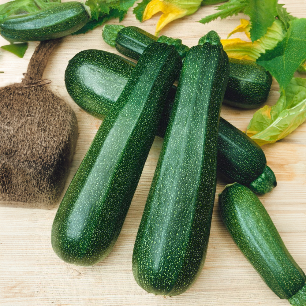 Cuketa zelená