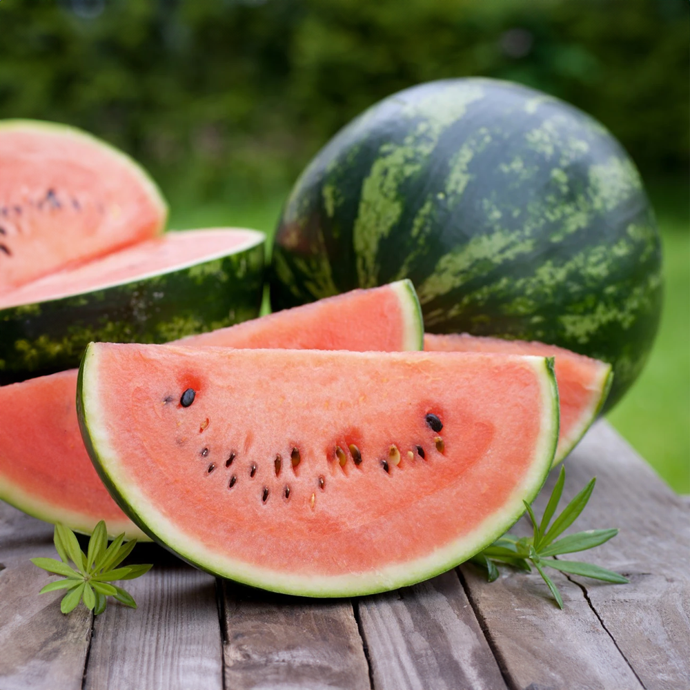 Meloun Crimson Sweet roubovaný