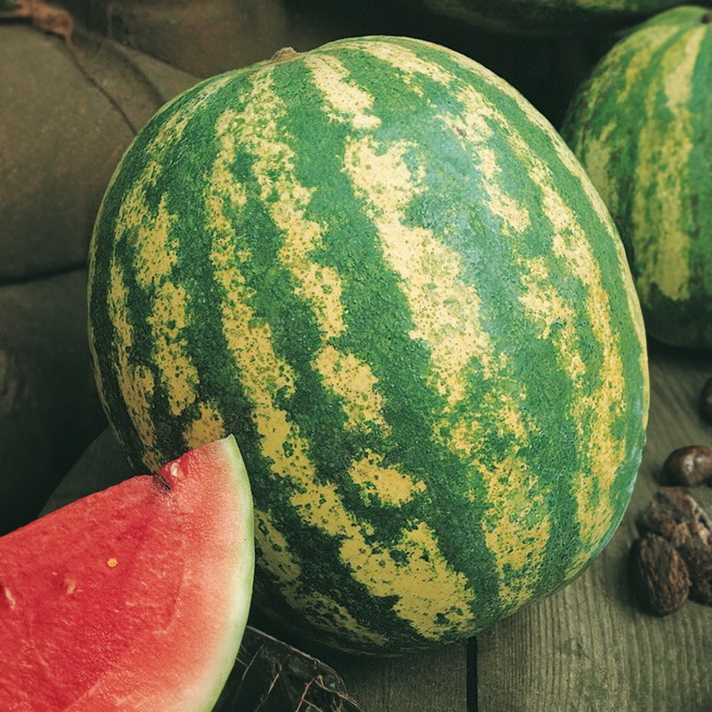 Meloun Crimson Sweet