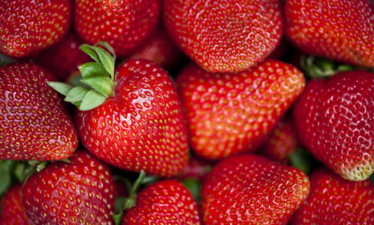 Jahodník korona 10 ks